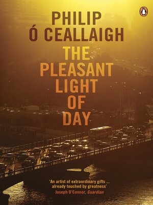 cover image of The Pleasant Light of Day